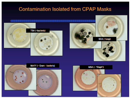 Contamination Isolated from CPAP Mask